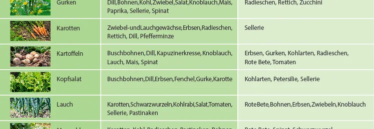 Tabelle mit Mischkultur für Gemüse